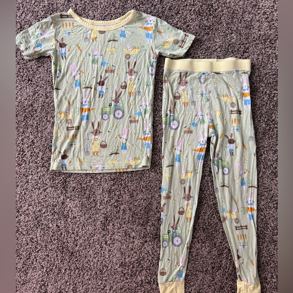 Little Sleepies Green Animal Adventure Pajama Set